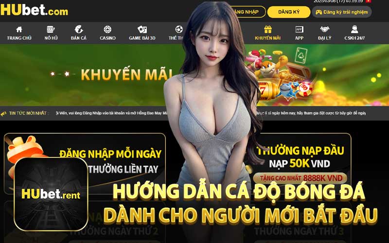Hướng Dẫn Cá Độ Bóng Đá Dành Cho Người Mới Bắt Đầu