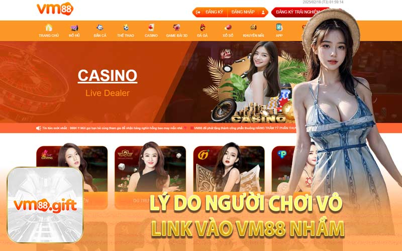 Lý Do Người Chơi Vô Link Vào VM88 Nhầm
